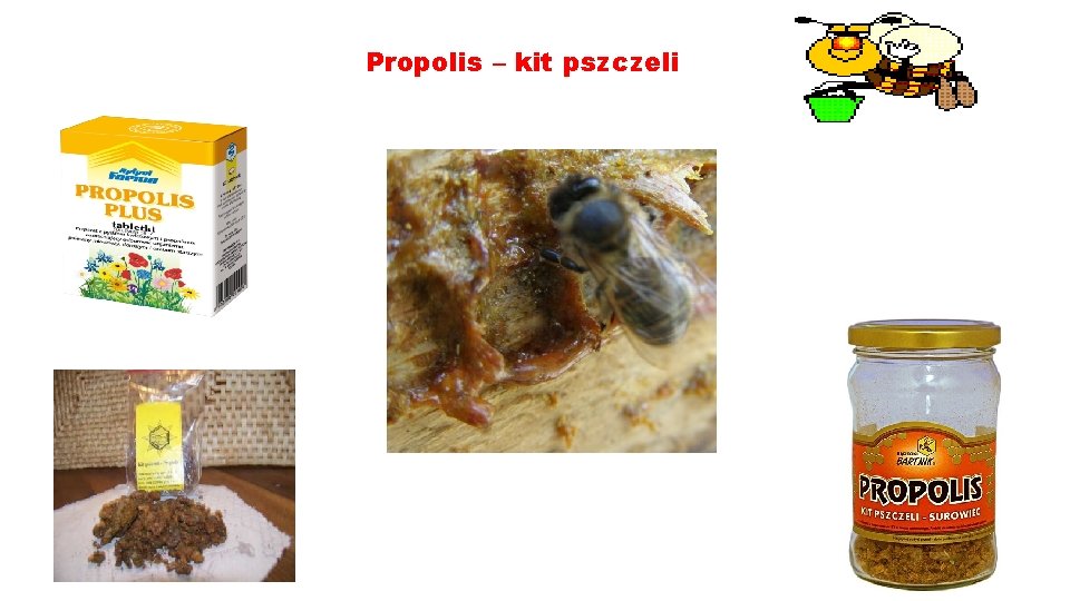 Propolis – kit pszczeli 