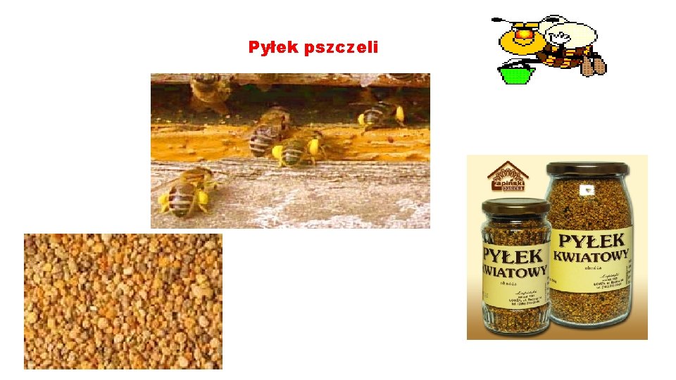 Pyłek pszczeli 