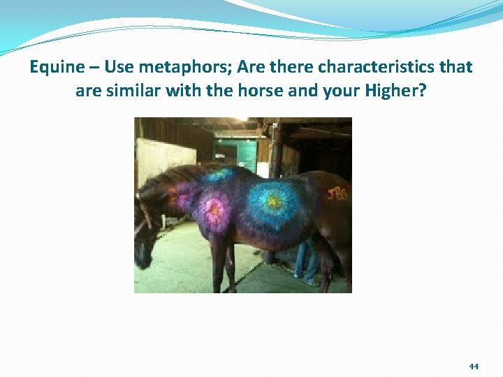 Equine – Use metaphors; Are there characteristics that are similar with the horse and