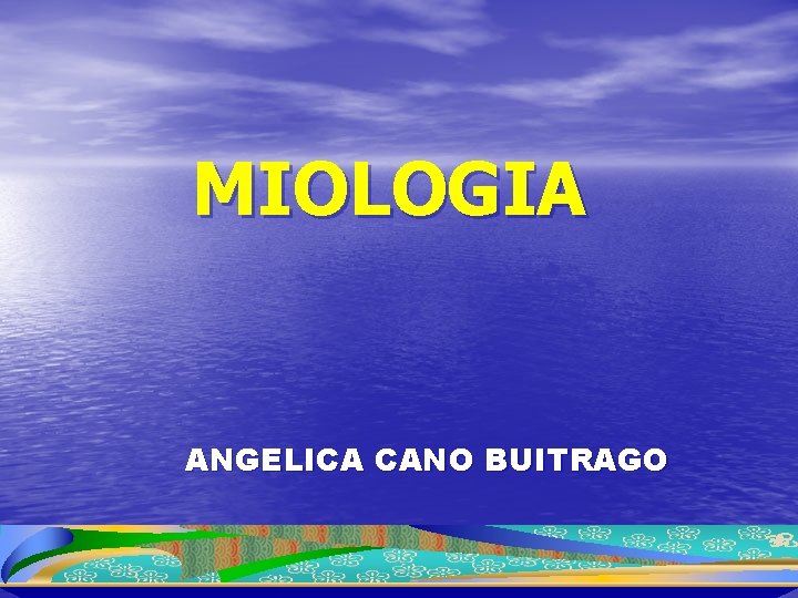 MIOLOGIA ANGELICA CANO BUITRAGO 