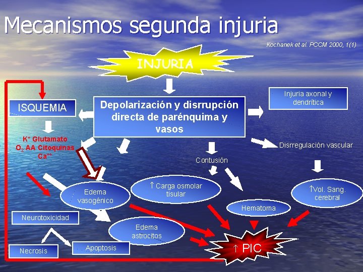 Mecanismos segunda injuria Kochanek et al. PCCM 2000, 1(1) INJURIA ISQUEMIA Injuria axonal y