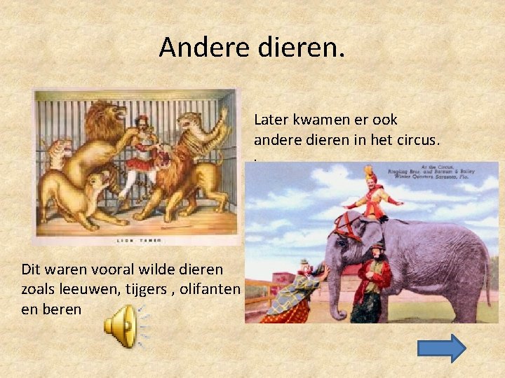 Andere dieren. Later kwamen er ook andere dieren in het circus. . Dit waren