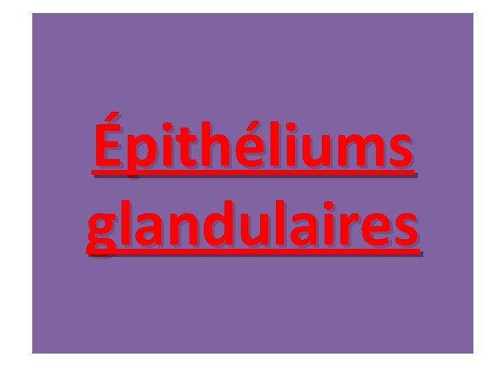 Épithéliums glandulaires Épithéliums glandulaires