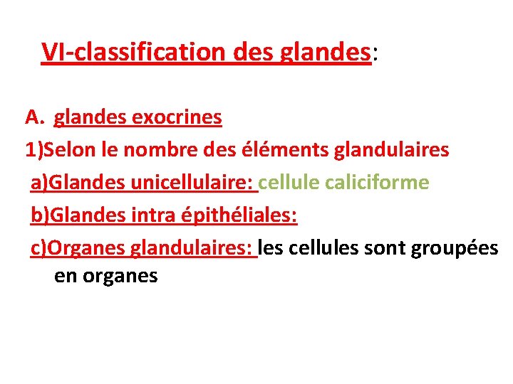 VI-classification des glandes: A. glandes exocrines 1)Selon le nombre des éléments glandulaires a)Glandes unicellulaire: VI-classification des glandes: A. glandes exocrines 1)Selon le nombre des éléments glandulaires a)Glandes unicellulaire: