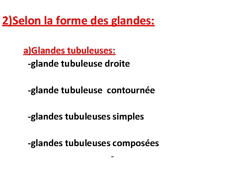 2)Selon la forme des glandes: a)Glandes tubuleuses: -glande tubuleuse droite -glande tubuleuse contournée -glandes 2)Selon la forme des glandes: a)Glandes tubuleuses: -glande tubuleuse droite -glande tubuleuse contournée -glandes