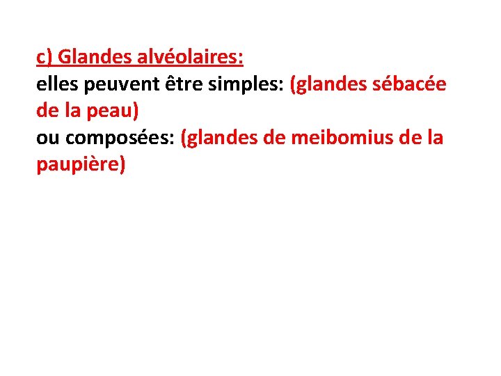 c) Glandes alvéolaires: elles peuvent être simples: (glandes sébacée de la peau) ou composées: c) Glandes alvéolaires: elles peuvent être simples: (glandes sébacée de la peau) ou composées: