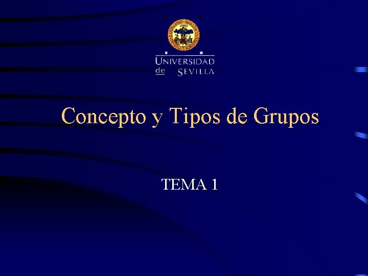 Concepto y Tipos de Grupos TEMA 1 Concepto y Tipos de Grupos TEMA 1