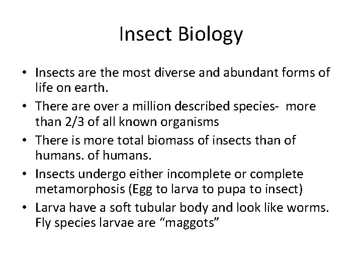 Insect Biology • Insects are the most diverse and abundant forms of life on