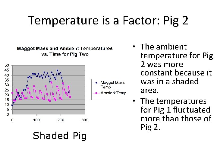 Temperature is a Factor: Pig 2 Shaded Pig • The ambient temperature for Pig