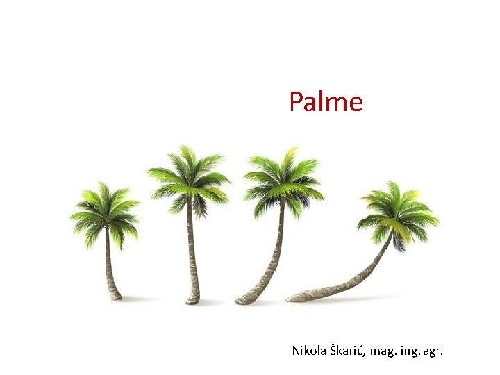 Palme Nikola Škarić, mag. ing. agr. 