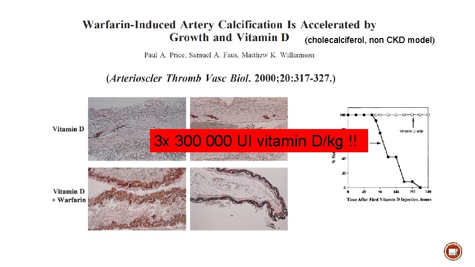 (cholecalciferol, non CKD model) 3 x 300 000 UI vitamin D/kg !! 