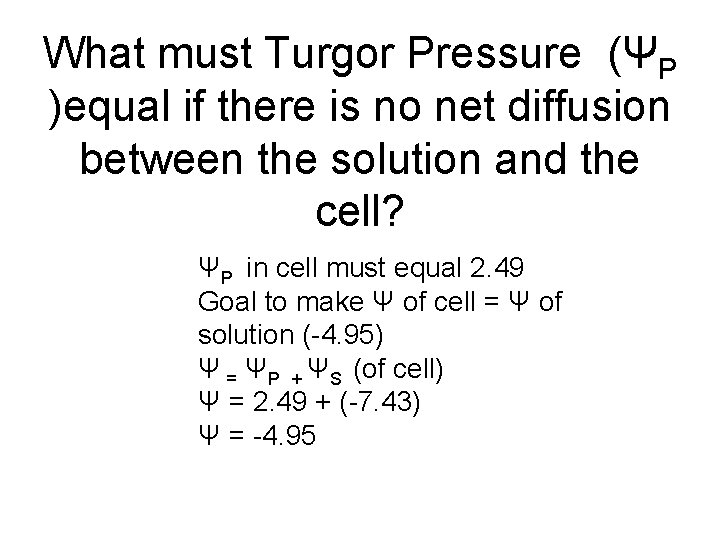 What must Turgor Pressure (ΨP )equal if there is no net diffusion between the
