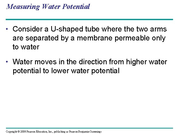Measuring Water Potential • Consider a U-shaped tube where the two arms are separated
