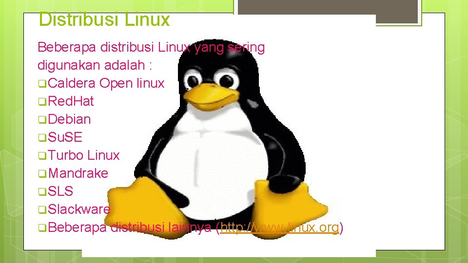 Distribusi Linux Beberapa distribusi Linux yang sering digunakan adalah : q Caldera Open linux