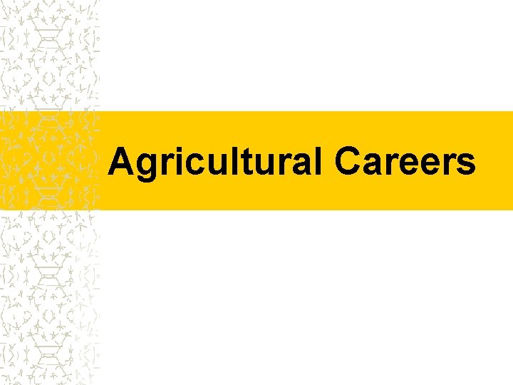 Agricultural Careers 