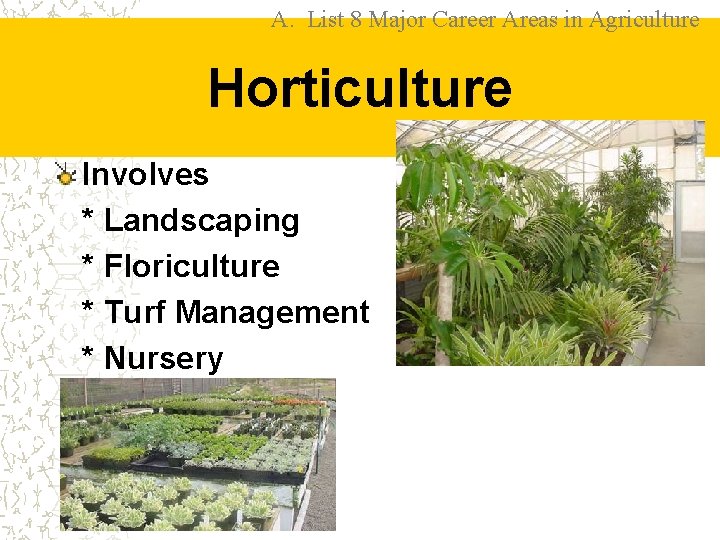 A. List 8 Major Career Areas in Agriculture Horticulture Involves * Landscaping * Floriculture