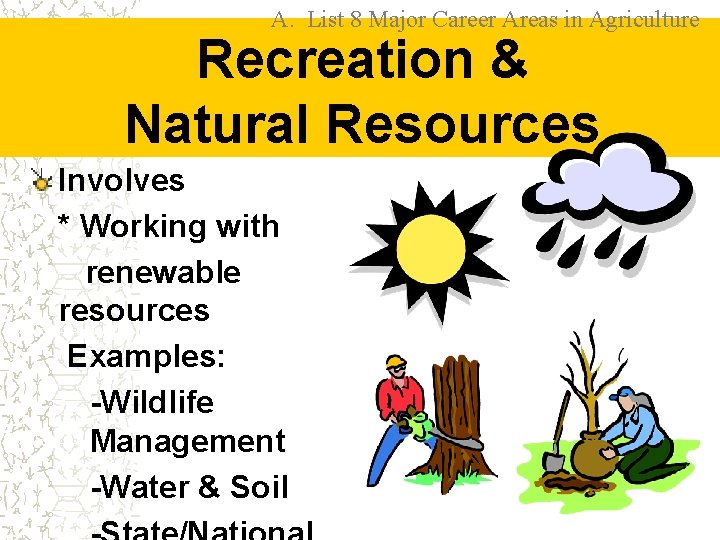 A. List 8 Major Career Areas in Agriculture Recreation & Natural Resources Involves *