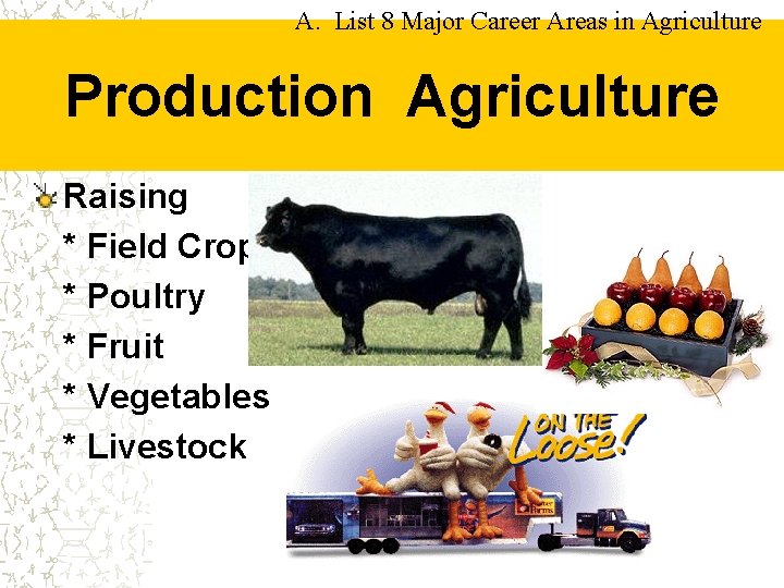 A. List 8 Major Career Areas in Agriculture Production Agriculture Raising * Field Crops