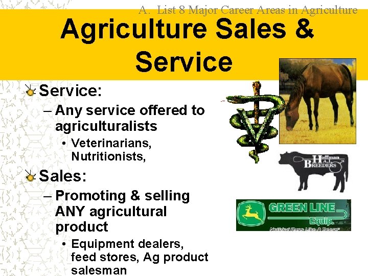 A. List 8 Major Career Areas in Agriculture Sales & Service: – Any service