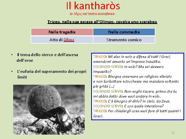 Il kantharòs la ὕβϱις nel teatro aristofaneo Trigeo, nella sua ascesa all’Olimpo, cavalca uno