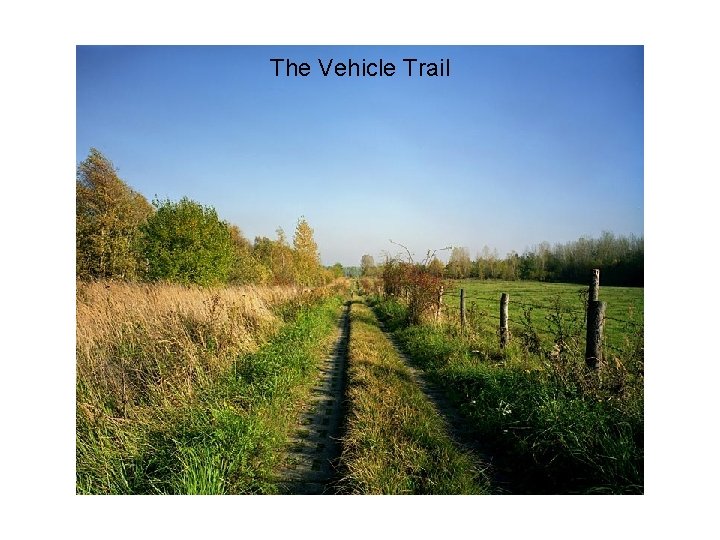 The Vehicle Trail 