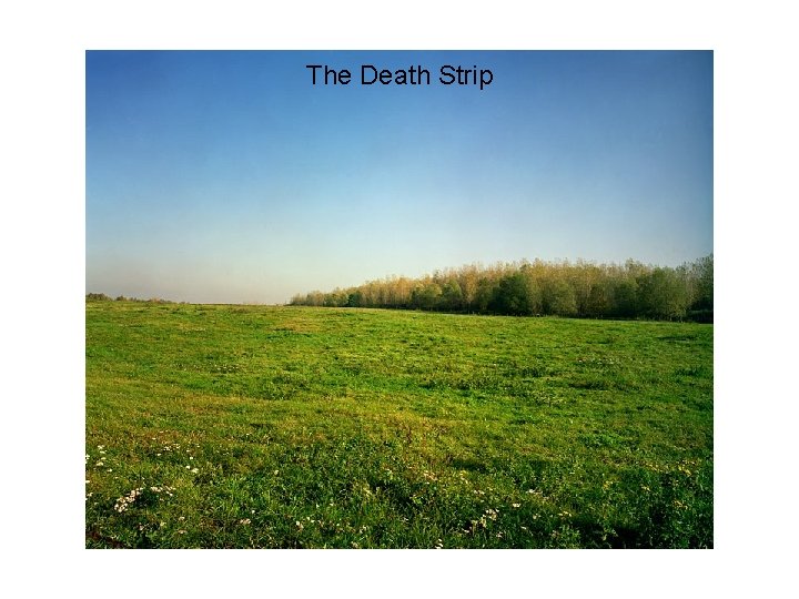 The Death Strip 