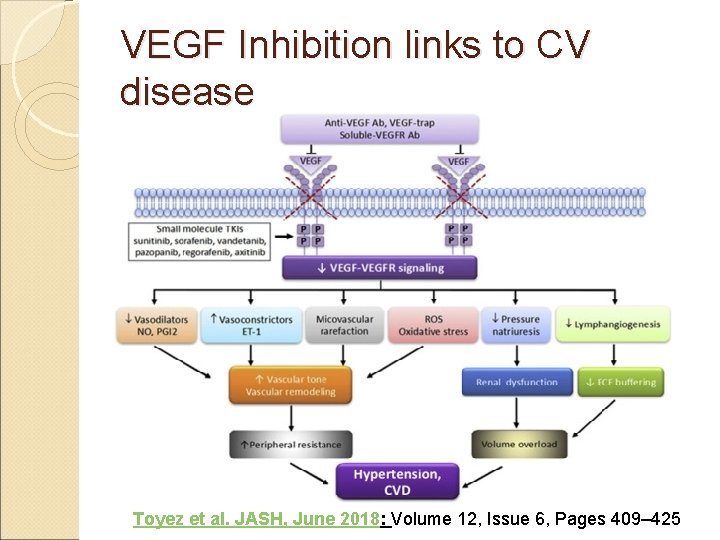 VEGF Inhibition links to CV disease Toyez et al. JASH, June 2018: Volume 12,