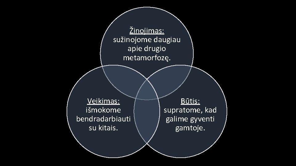 Žinojimas: sužinojome daugiau apie drugio metamorfozę. Veikimas: išmokome bendradarbiauti su kitais. Būtis: supratome, kad