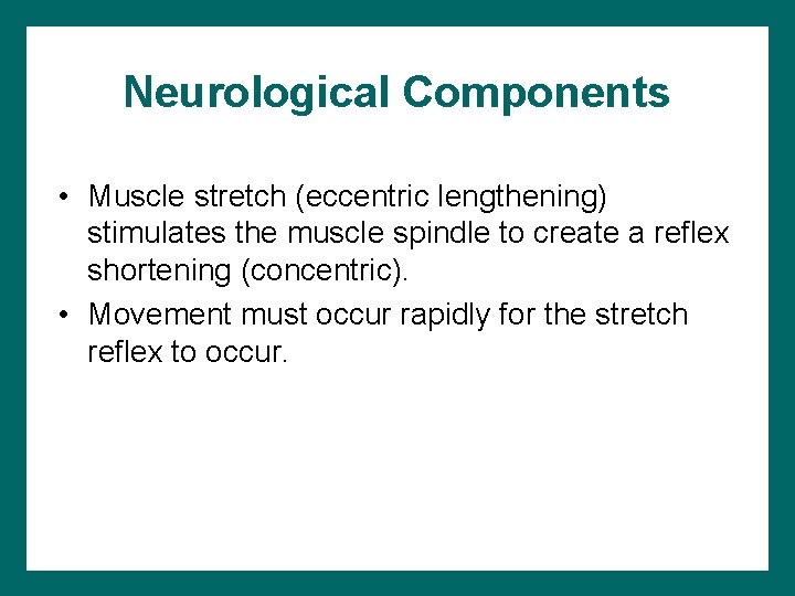 Neurological Components • Muscle stretch (eccentric lengthening) stimulates the muscle spindle to create a