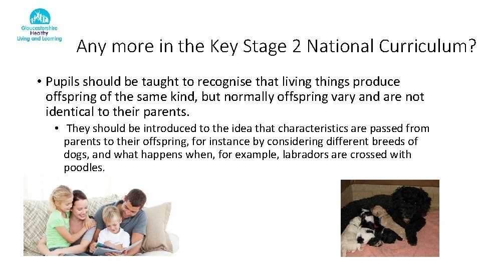 Any more in the Key Stage 2 National Curriculum? • Pupils should be taught