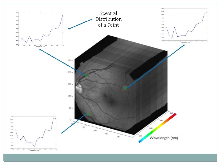 Spectral Distribution of a Point Spectral Distribution of a Point