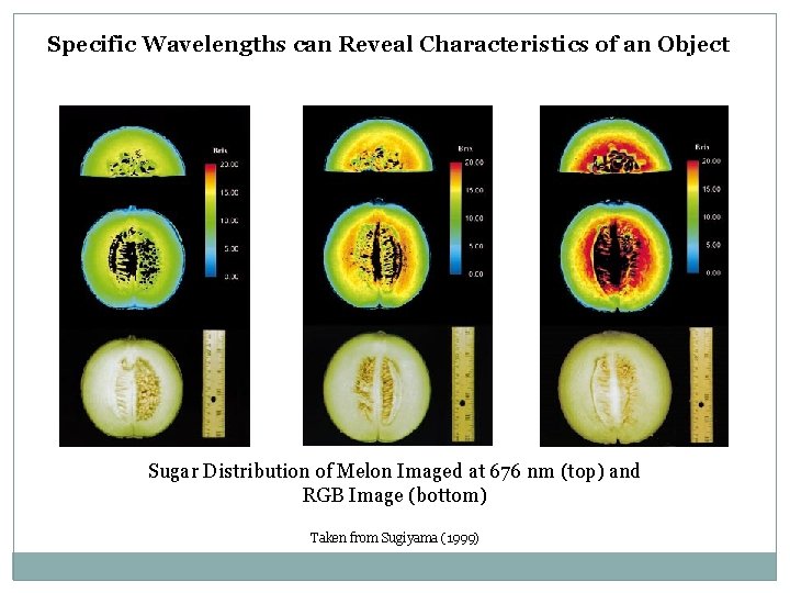 Specific Wavelengths can Reveal Characteristics of an Object Sugar Distribution of Melon Imaged at Specific Wavelengths can Reveal Characteristics of an Object Sugar Distribution of Melon Imaged at
