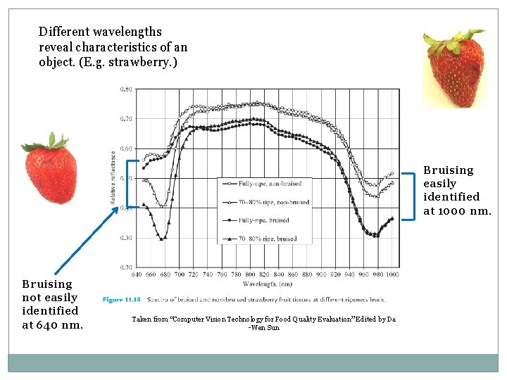 Different wavelengths reveal characteristics of an object. (E. g. strawberry. ) Bruising easily identified Different wavelengths reveal characteristics of an object. (E. g. strawberry. ) Bruising easily identified