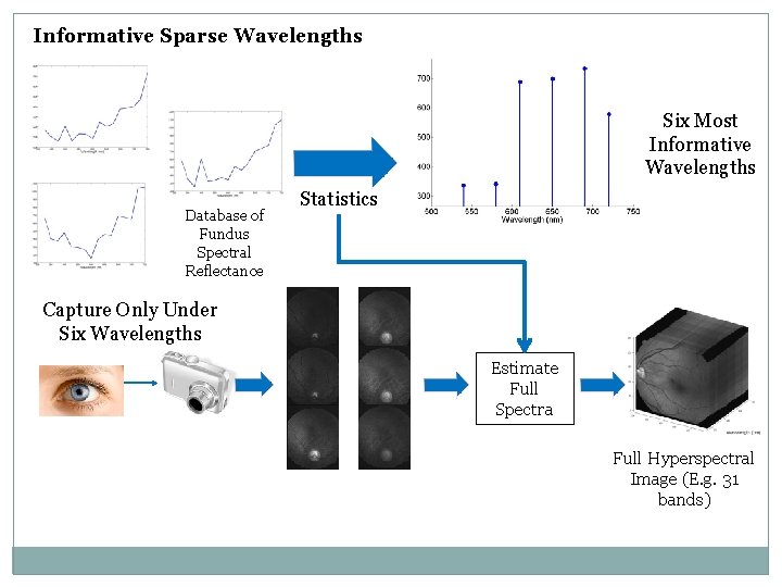 Informative Sparse Wavelengths Six Most Informative Wavelengths Database of Fundus Spectral Reflectance Statistics Capture Informative Sparse Wavelengths Six Most Informative Wavelengths Database of Fundus Spectral Reflectance Statistics Capture