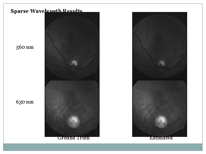 Sparse Wavelength Results 560 nm 630 nm Ground Truth Estimated Sparse Wavelength Results 560 nm 630 nm Ground Truth Estimated