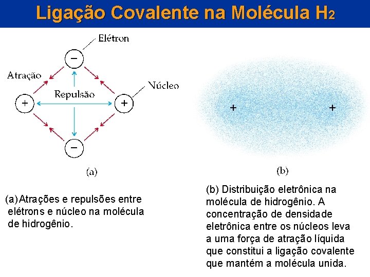 Ligação Covalente na Molécula H 2 (a) Atrações e repulsões entre elétrons e núcleo