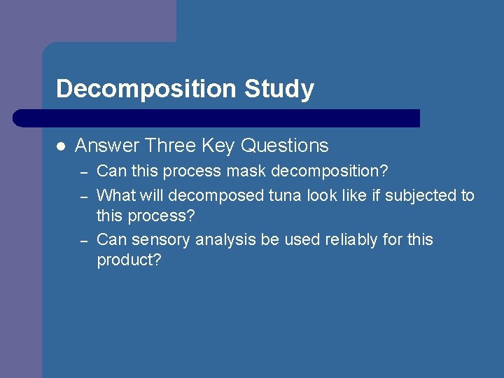 Decomposition Study l Answer Three Key Questions – – – Can this process mask