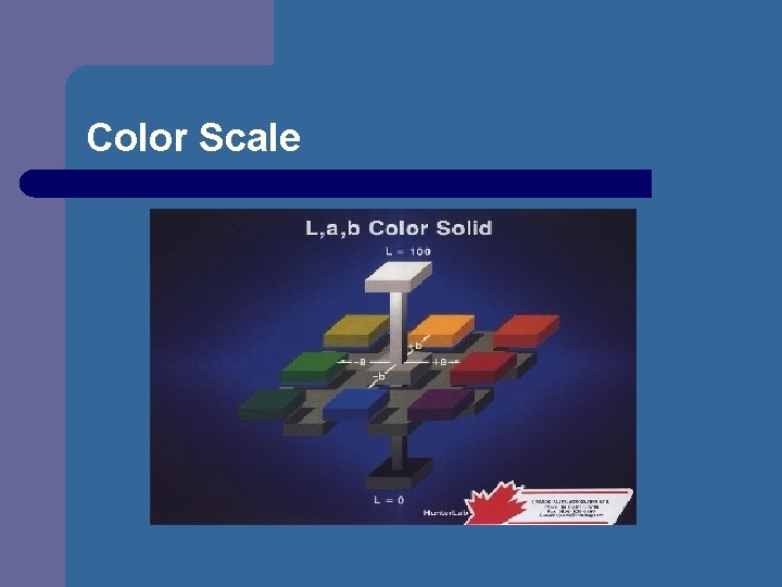 Color Scale 
