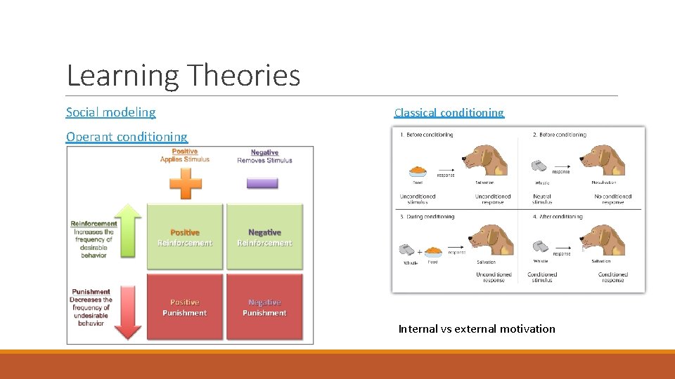 Learning Theories Social modeling Classical conditioning Operant conditioning Internal vs external motivation 