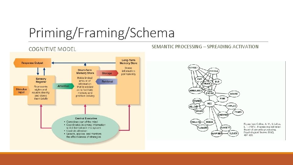 Priming/Framing/Schema COGNITIVE MODEL SEMANTIC PROCESSING – SPREADING ACTIVATION 
