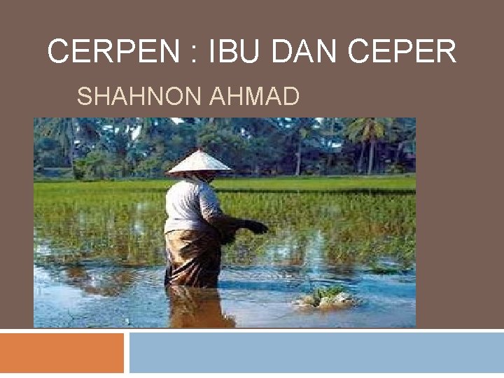 CERPEN : IBU DAN CEPER SHAHNON AHMAD 