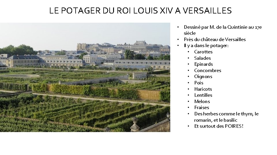 LE POTAGER DU ROI LOUIS XIV A VERSAILLES • Dessiné par M. de la