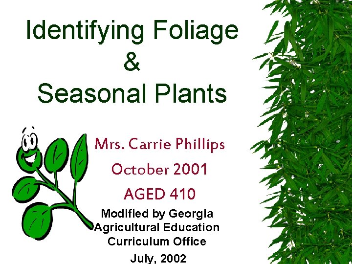 Identifying Foliage & Seasonal Plants Mrs. Carrie Phillips October 2001 AGED 410 Modified by