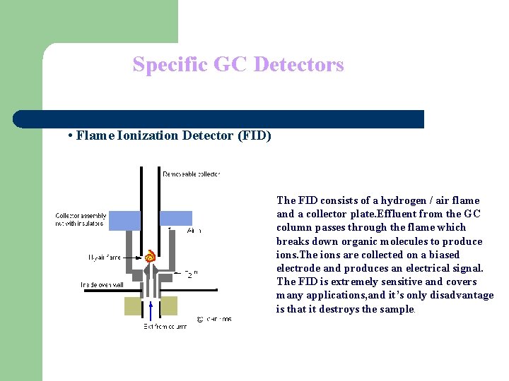 Specific GC Detectors • Flame Ionization Detector (FID) The FID consists of a hydrogen