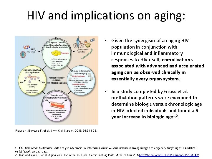 HIV and implications on aging: • Given the synergism of an aging HIV population