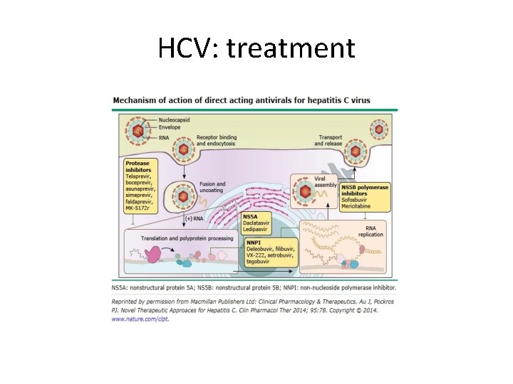 HCV: treatment 