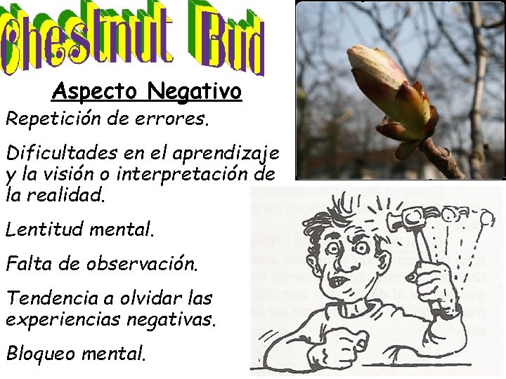 Aspecto Negativo Repetición de errores. Dificultades en el aprendizaje y la visión o interpretación Aspecto Negativo Repetición de errores. Dificultades en el aprendizaje y la visión o interpretación