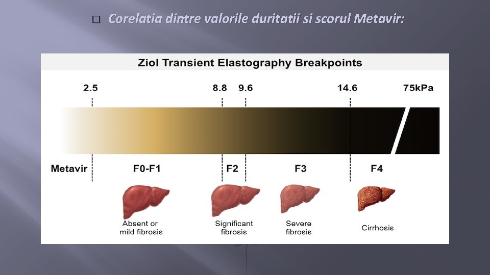 � Corelatia dintre valorile duritatii si scorul Metavir: 