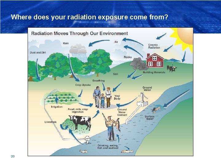 Where does your radiation exposure come from? 20 