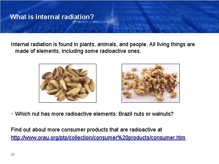 What is internal radiation? Internal radiation is found in plants, animals, and people. All